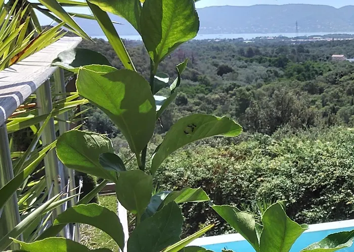 Anchorage Vue Panoramique Roof Piscine A Debordement * 维琪奥港